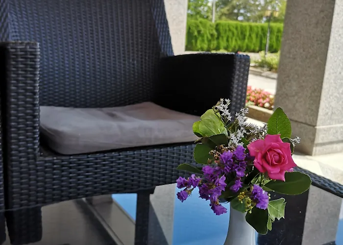 酒店 雅莉格丝酒店 3*