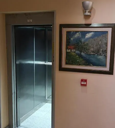 酒店 雅莉格丝酒店 3*