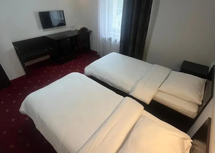 雅莉格丝酒店 酒店 3*